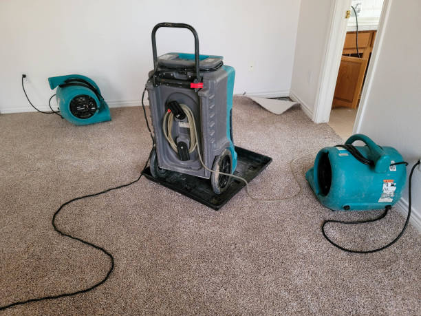  Mentor On The Lake, OH Water damage restoration Pros