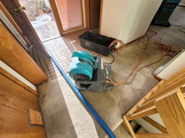 Best Water damage restoration near me  in Mentor On The Lake, OH