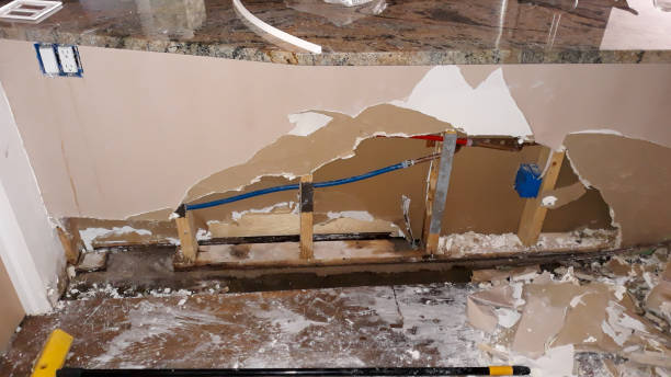 Best Water damage contractors near me  in Mentor On The Lake, OH
