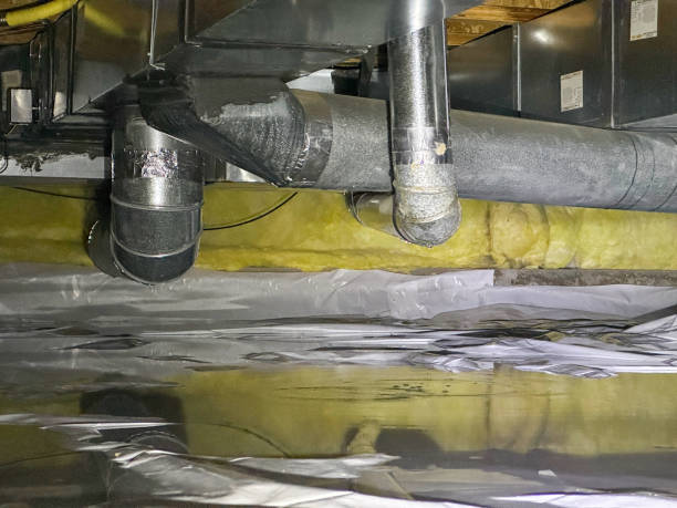 Best Water damage cleanup near me  in Mentor On The Lake, OH